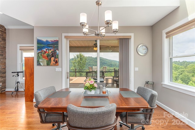 930 Big Raven Ln, Saluda, NC 28773 - photo 6