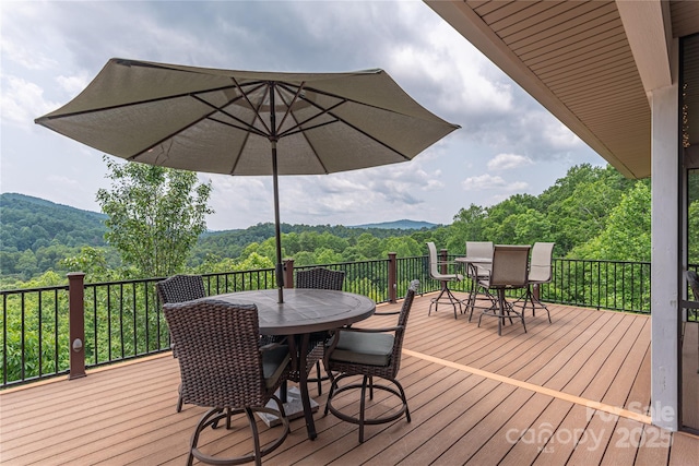 930 Big Raven Ln, Saluda, NC 28773 - photo 25