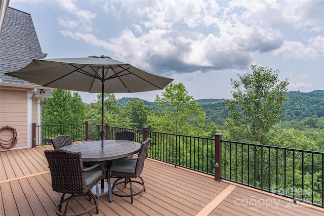 930 Big Raven Ln, Saluda, NC 28773 - photo 26