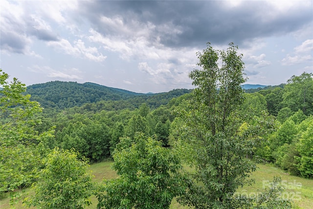 930 Big Raven Ln, Saluda, NC 28773 - photo 27