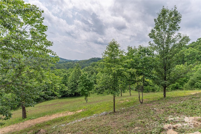930 Big Raven Ln, Saluda, NC 28773 - photo 28