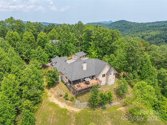 930 Big Raven Ln, Saluda, NC 28773 - photo 32