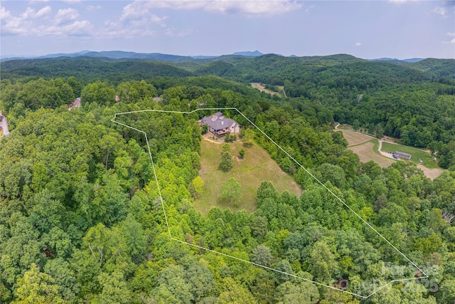 930 Big Raven Ln, Saluda, NC 28773 - photo 33