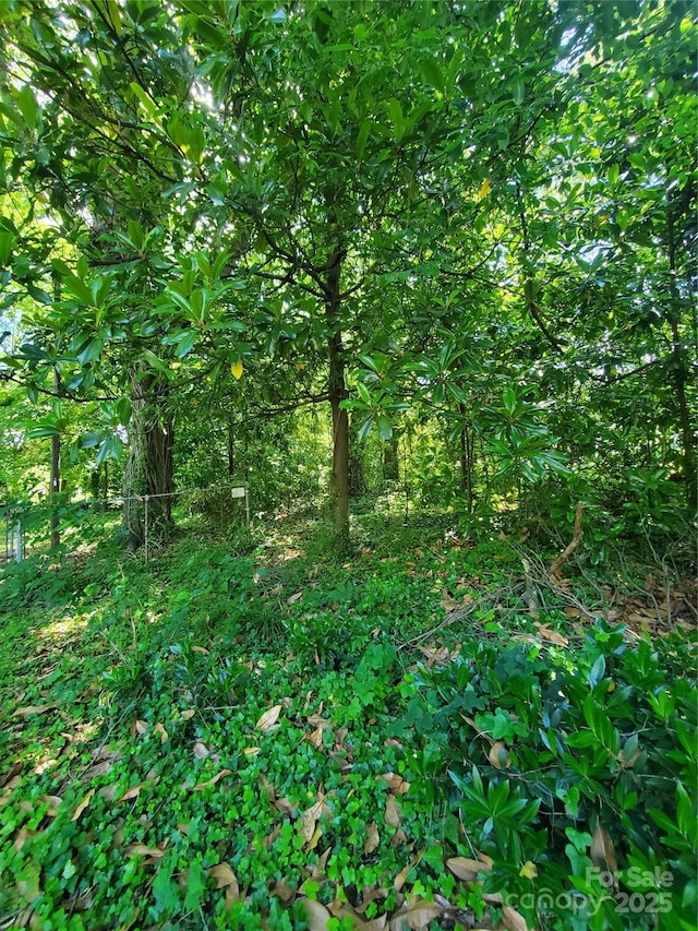 1909 Patton Ave, Charlotte, NC 28216 - photo 4