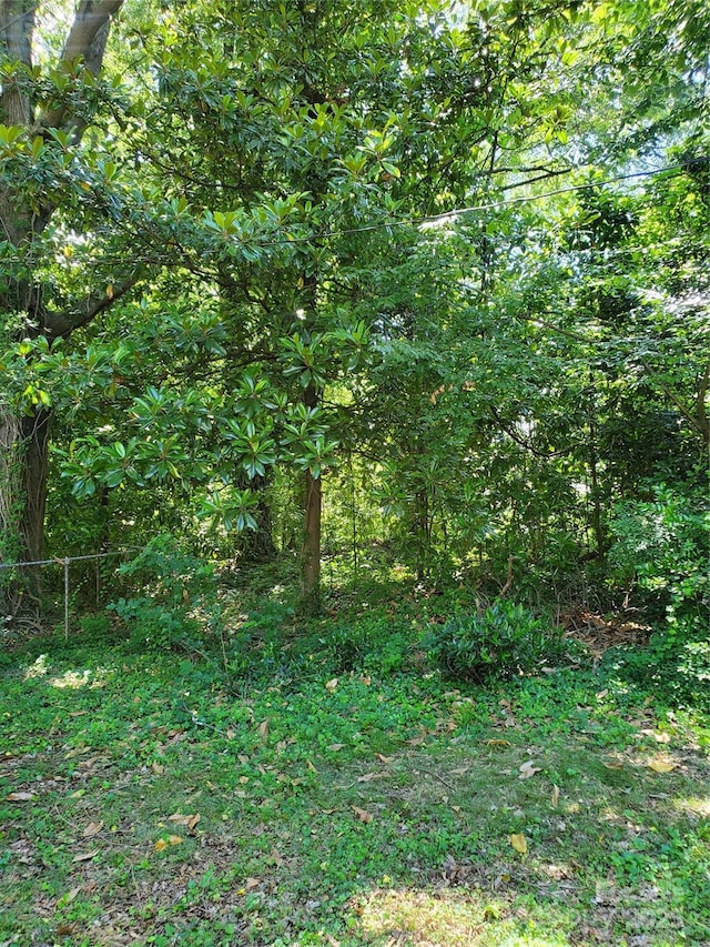 1909 Patton Ave, Charlotte, NC 28216 - photo 6