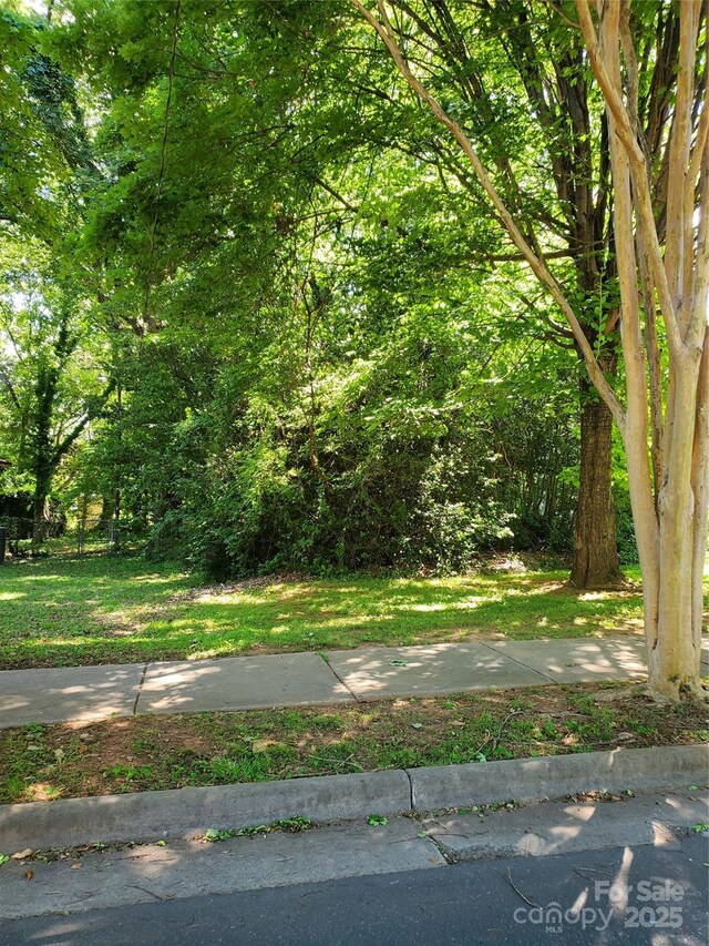1909 Patton Ave, Charlotte, NC 28216 - photo 7