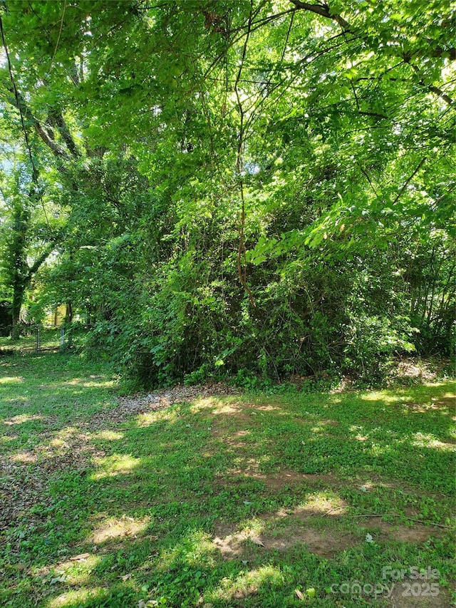 1909 Patton Ave, Charlotte, NC 28216 - photo 8