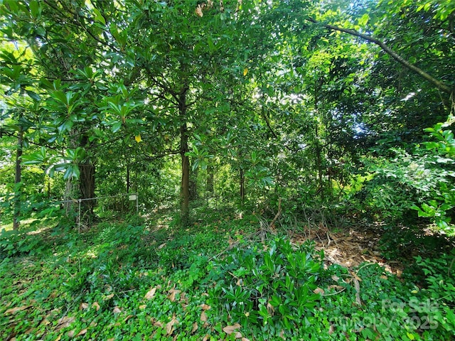 1909 Patton Ave, Charlotte, NC 28216 - photo 2