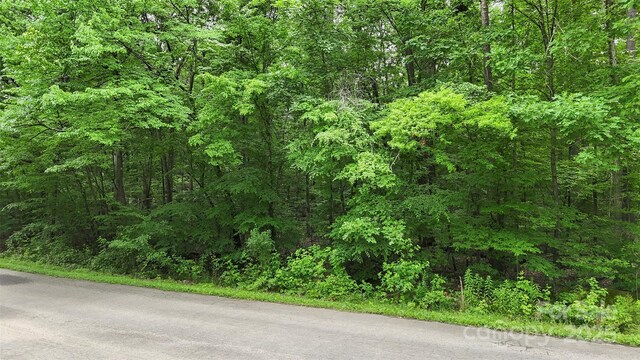 24 Moser Cir, Indian Trail, NC 28079 - photo 10