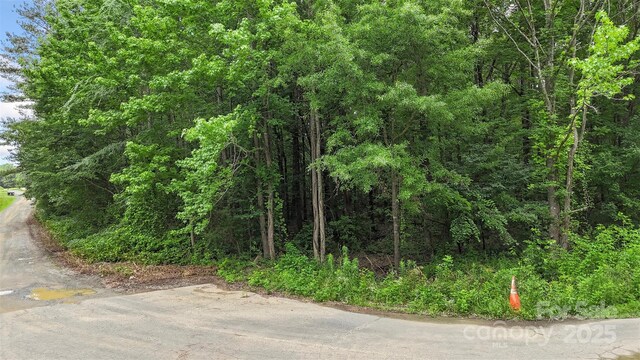 24 Moser Cir, Indian Trail, NC 28079 - photo 11