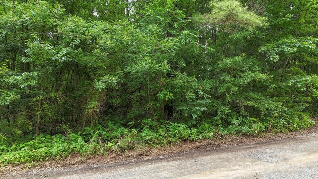 24 Moser Cir, Indian Trail, NC 28079 - photo 13