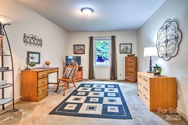 4004 Stillwater Ct, York, SC 29745 - office with light carpet and a textured ceiling