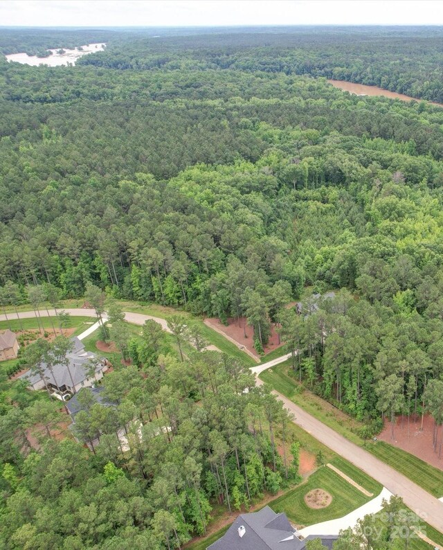 6163 Chimney Bluff Rd, Lancaster, SC 29720 - photo 6