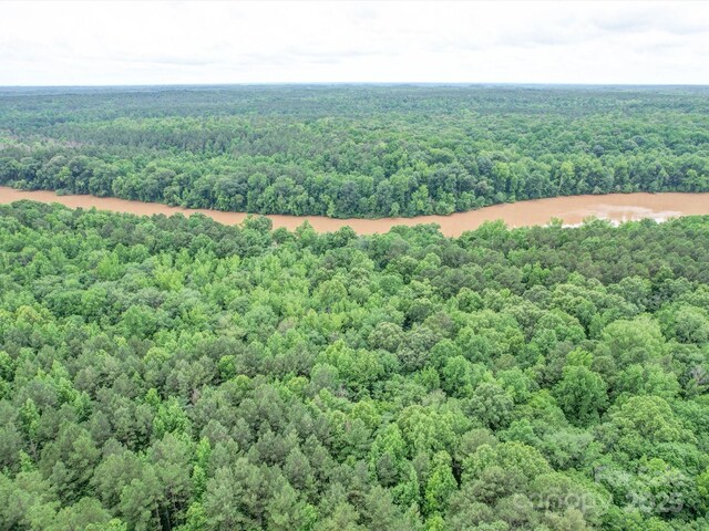 6163 Chimney Bluff Rd, Lancaster, SC 29720 - photo 8