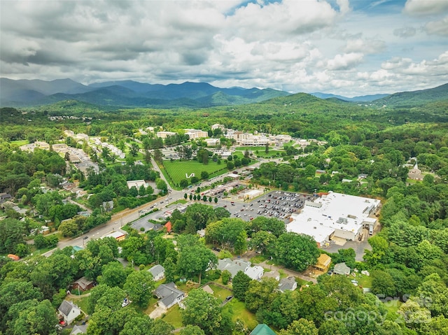 23 Oteen Park Pl, Asheville, NC 28805 - aerial view of mountains