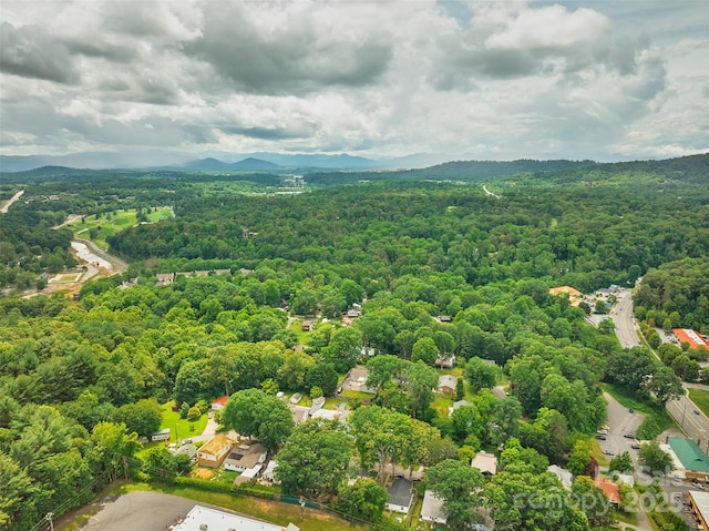 23 Oteen Park Pl, Asheville, NC 28805 - aerial view of a forest