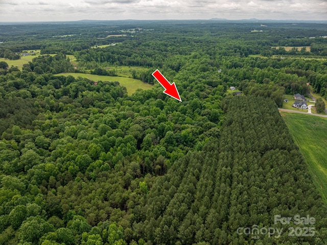 00 Hill Gates Trl Unit 31, Cherryville, NC 28021 - photo 2