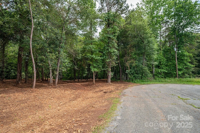 00 Hill Gates Trl Unit 31, Cherryville, NC 28021 - photo 3