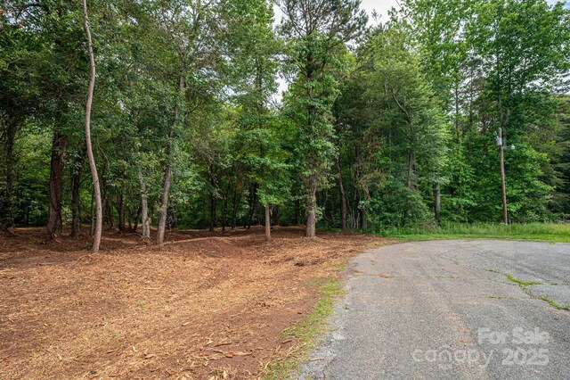 00 Hill Gates Trl Unit 31, Cherryville, NC 28021 - photo 3