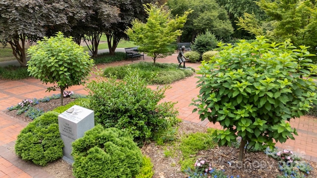 1011 Westbrook Dr Unit A, Charlotte, NC 28202 - view of property's community