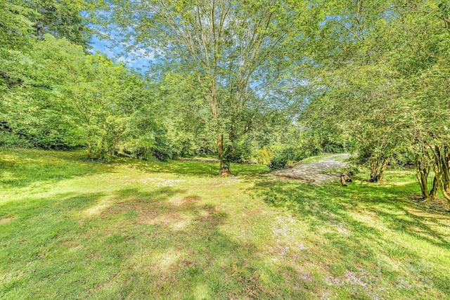 99 Little Oak St, Canton, NC 28716 - view of grassy yard featuring a wooded view
