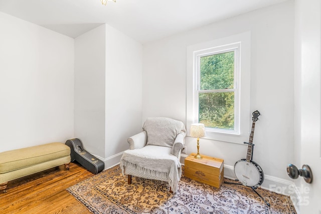 99 Little Oak St, Canton, NC 28716 - living area with healthy amount of natural light and wood finished floors
