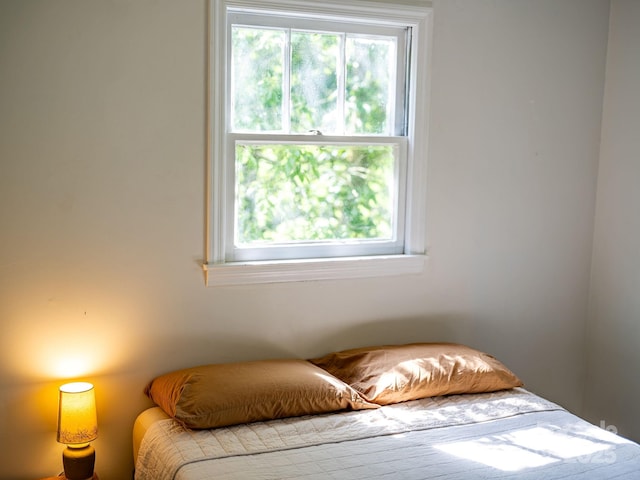 99 Little Oak St, Canton, NC 28716 - bedroom featuring multiple windows