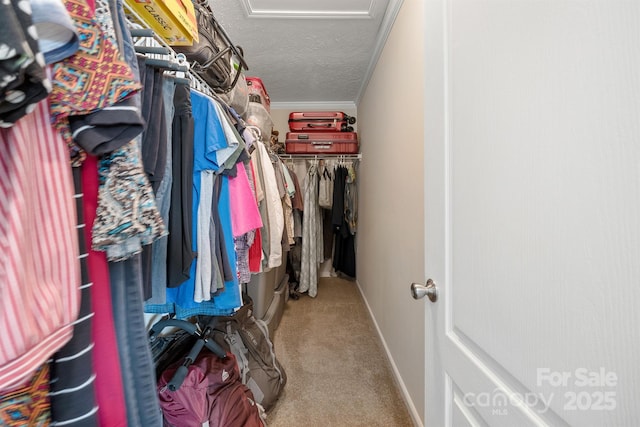 308 Laurel Ridge Dr, Lincolnton, NC 28092 - spacious closet featuring attic access and carpet