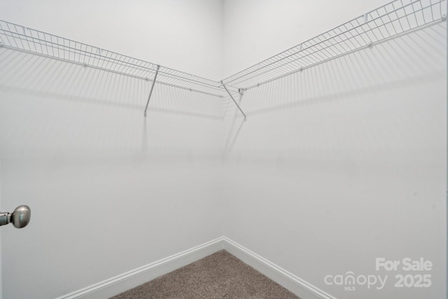 54 Reed St NE, Concord, NC 28025 - spacious closet with dark carpet