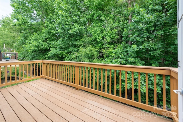 17513 Hawks View Dr, Fort Mill, SC 29707 - photo 14