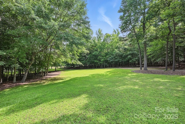 4824 Waxhaw Farms Rd, Waxhaw, NC 28173 - view of green lawn