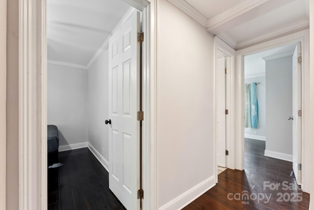 152 Lantana Dr, Sylva, NC 28779 - hall with dark wood-style flooring and ornamental molding