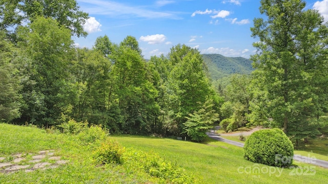 152 Lantana Dr, Sylva, NC 28779 - mountain view with a heavily wooded area