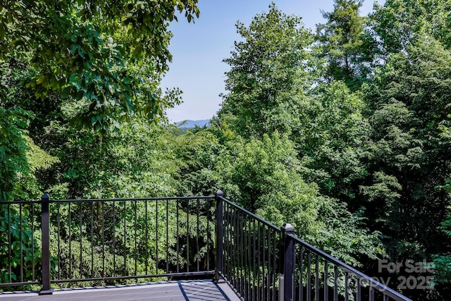 189 Greenhill Ridge Dr, Rutherfordton, NC 28139 - photo 11