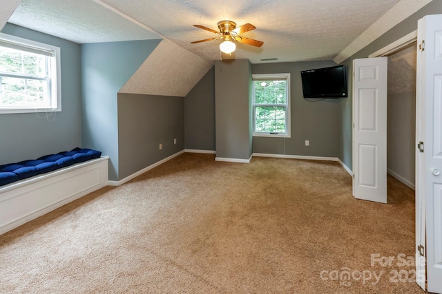 189 Greenhill Ridge Dr, Rutherfordton, NC 28139 - photo 18