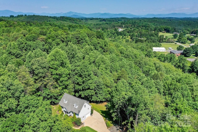 189 Greenhill Ridge Dr, Rutherfordton, NC 28139 - photo 34