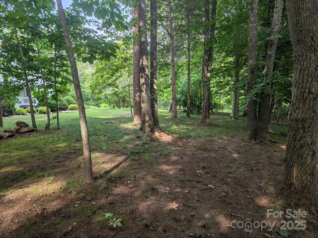 189 Greenhill Ridge Dr, Rutherfordton, NC 28139 - photo 38