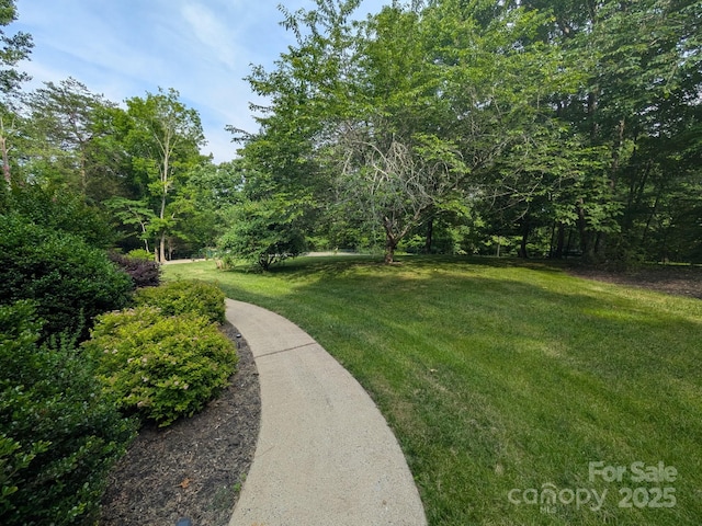 189 Greenhill Ridge Dr, Rutherfordton, NC 28139 - photo 39
