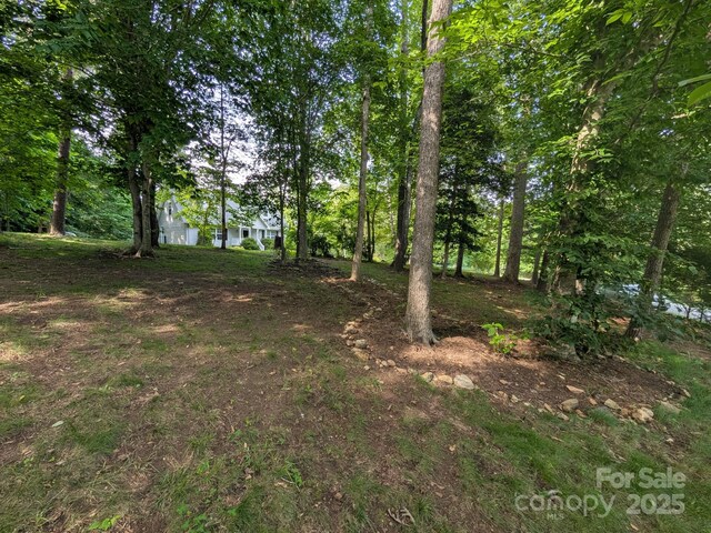 189 Greenhill Ridge Dr, Rutherfordton, NC 28139 - photo 45