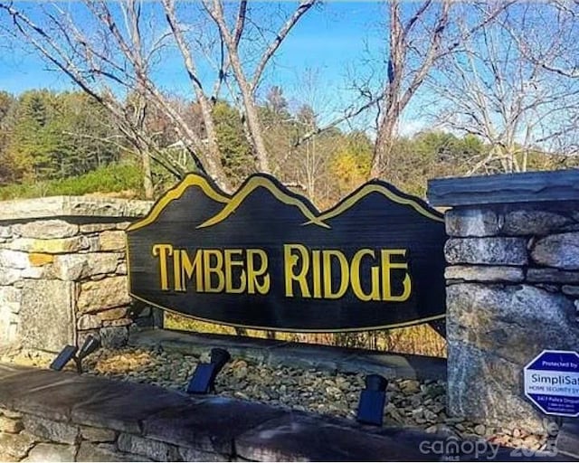 89 Timber Ridge Cir Unit 16, Leicester, NC 28748