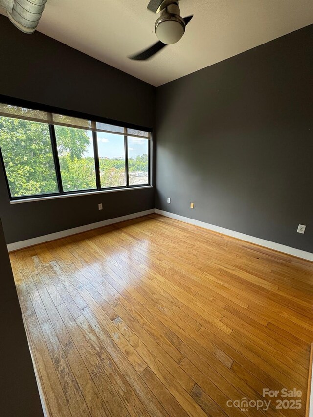 514 W 10th St Unit 403, Charlotte, NC 28202 - photo 11