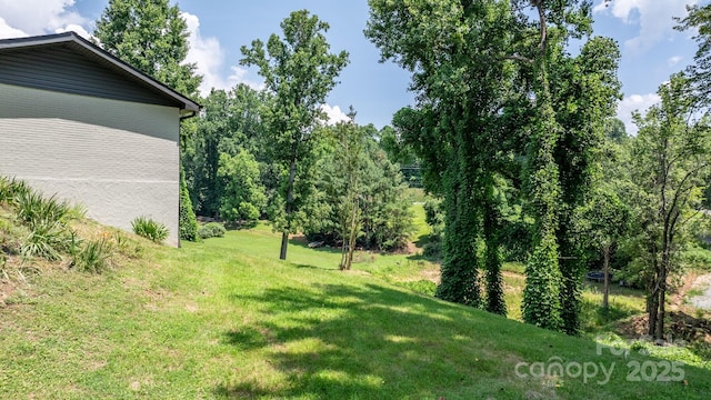 191 Harmony Grove Rd, Nebo, NC 28761 - view of green lawn