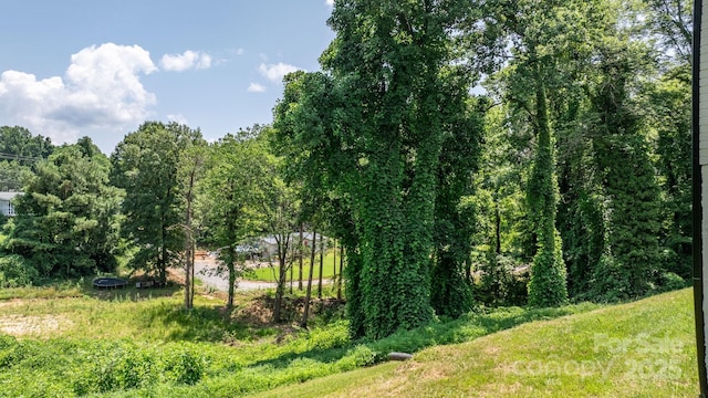 191 Harmony Grove Rd, Nebo, NC 28761 - view of undeveloped land