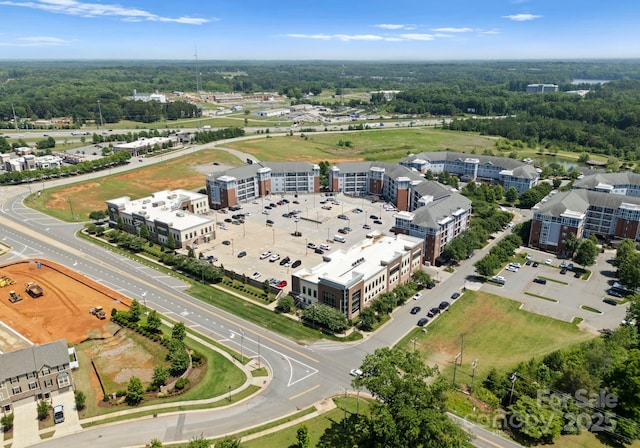 293 Camino Real Rd, Mooresville, NC 28117 - photo 15