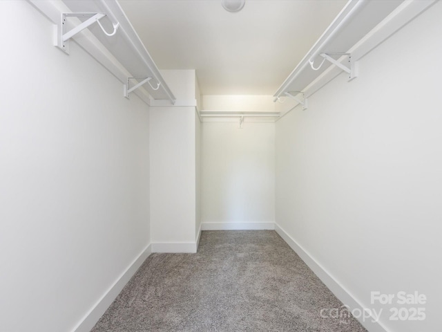 14429 New Haven Dr, Huntersville, NC 28078 - photo 24