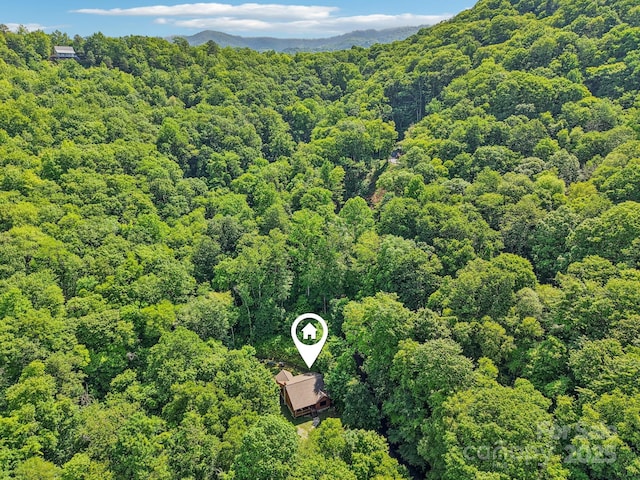 2171 Black Rock Rd, Cherokee, NC 28719 - aerial view of a forest