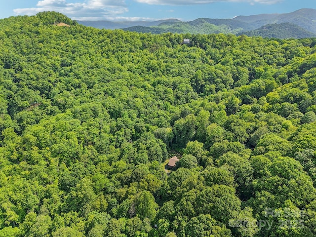 2171 Black Rock Rd, Cherokee, NC 28719 - bird's eye view of a heavily wooded area and mountains