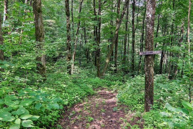 2171 Black Rock Rd, Cherokee, NC 28719 - view of tree filled area