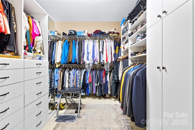 168 Blue Ridge Trl, Mooresville, NC 28117 - view of walk in closet