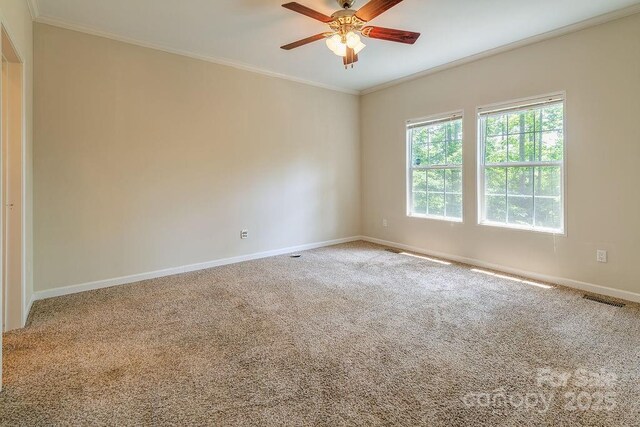 21 Luther Woods Dr, Candler, NC 28715 - photo 16